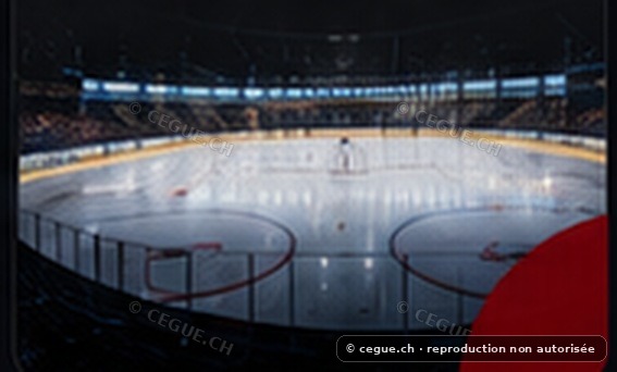 Patinoire de hockey sur glace
